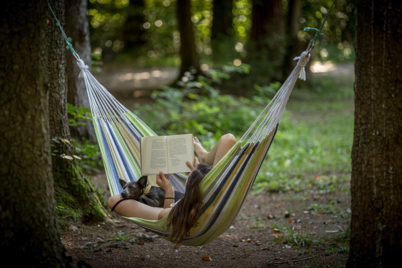 Forest Camping Mozirje Eksteriør bilde