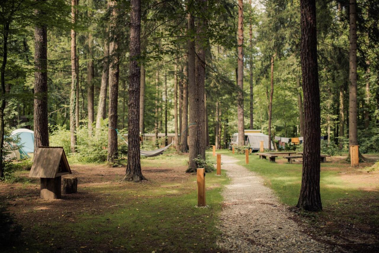 Forest Camping Mozirje Eksteriør bilde